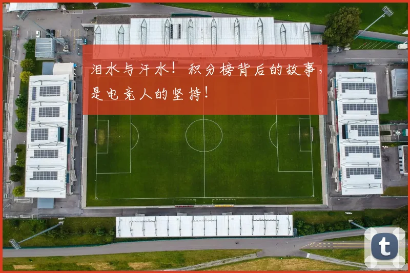泪水与汗水！积分榜背后的故事，是电竞人的坚持！